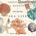 PPD Szalvéta 33x33cm Ssea Life