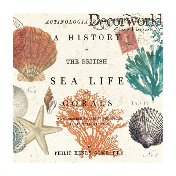 PPD Szalvéta 33x33cm Ssea Life