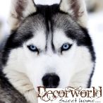 PPD Szalvéta 33x33cm Husky 20db