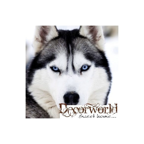 PPD Szalvéta 33x33cm Husky 20db