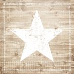PPD Szalvéta 33x33cm Star Fashion white wood  20db