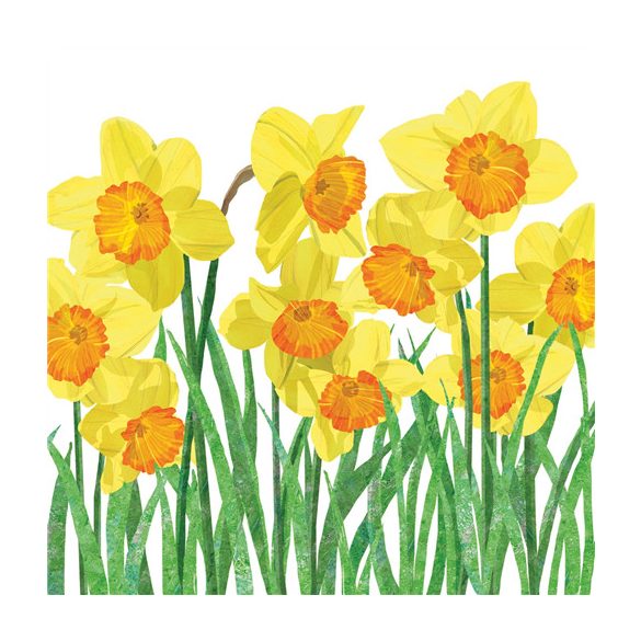 PPD Szalvéta 33x33cm Yellow Daffodils 20db