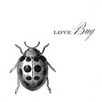 PPD Szalvéta 33x33cm Love Bug  15 db