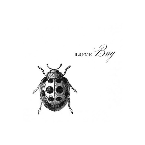 PPD Szalvéta 33x33cm Love Bug  15 db