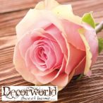 PPD Szalvéta 33x33cm Rose Passion  15 db