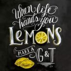 PPD Szalvéta 33x33cm Blackboard Lemons 20db