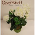 Muskátli cserépben fehér