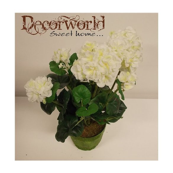 Muskátli cserépben piros