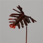 Philodendron levél 75 cm - Bordó