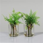 Páfrány üveg pohárban 20 cm - 2 féle