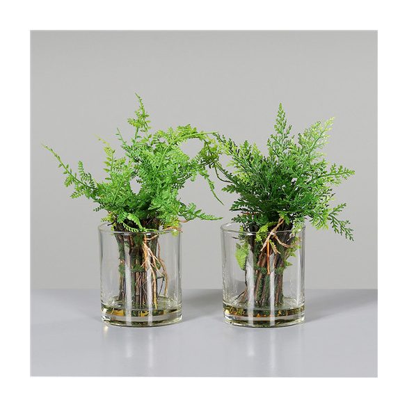 Páfrány üveg pohárban 20 cm - 2 féle