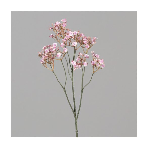 Gypsophila 60cm - Rózsaszín