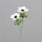 Anemone 50cm 2 virág - Fehér