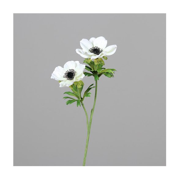 Anemone 50cm 2 virág - Fehér