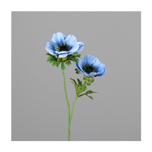Anemone 50cm 2 virág - Kék