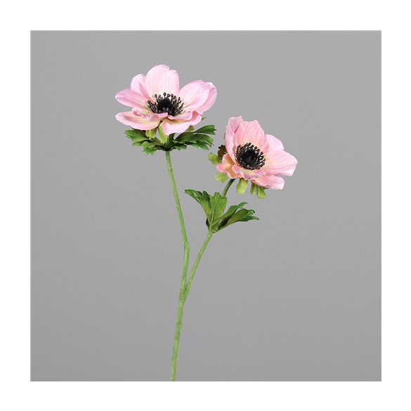 Anemone 50cm 2 virág - Rózsaszín