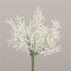 Calocephalus 27cm - Fehér