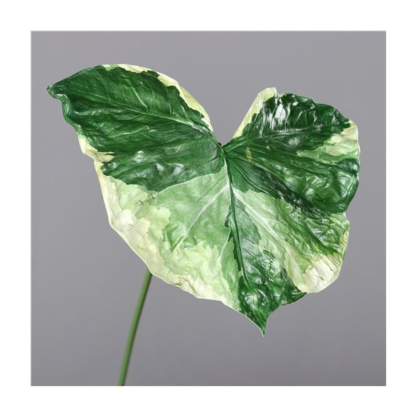Greenery levél 100cm - Zöld-fehér