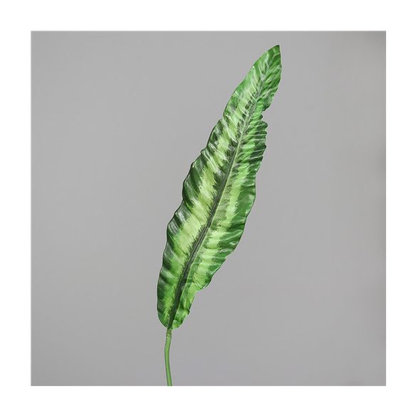 Anthurium levél 135cm - Zöld-fehér