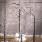 Hegyes levelű bokor 31cm UV álló