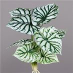 Begonia  9 levéllel 46cm - Zöld-fehér