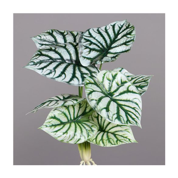 Begonia  9 levéllel 46cm - Zöld-fehér