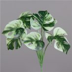 Monstera 36cm 7 levél - Zöld-krém