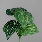 Syngonium pick 6 levél 25cm - Zöld