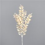 Ruscus ág 50 cm - Krém