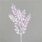 Ruscus ág 50cm - Levendula