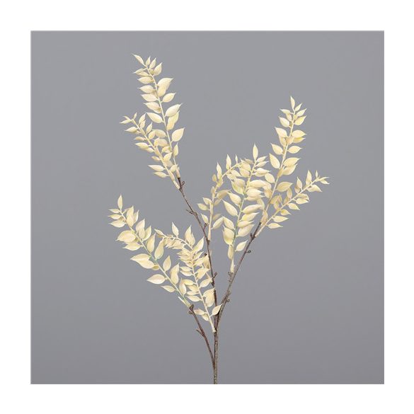 Ruscus ág 70cm - Krém
