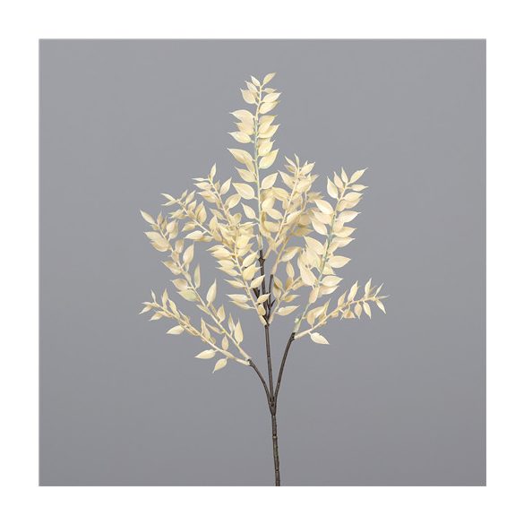 Ruscus ág 47cm - Krém