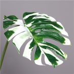Monstera levél 110cm - Zöld-fehér