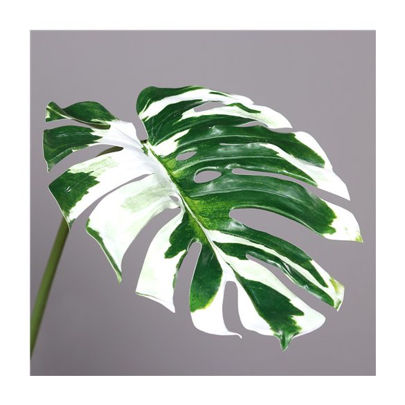 Monstera levél 110cm - Zöld-fehér