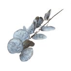 Eucalypthus ág 80cm - Taupe