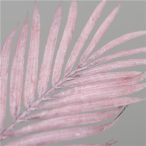 Páfrány ág 80cm - Rózsaszín