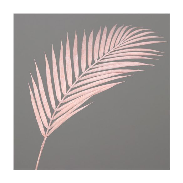 Páfrány ág 80cm - Rózsaszín