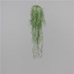 Succulent akasztós 75 cm (Rhipsalis)