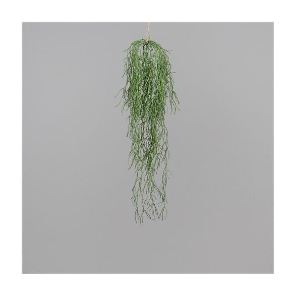 Succulent akasztós 75 cm (Rhipsalis)