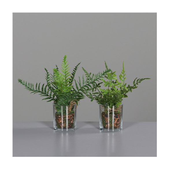 Páfrány üveg pohárban 20 cm - 2 féle