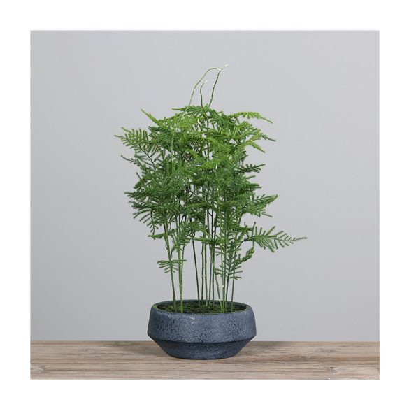 Páfrány polirezin tálban 53 cm