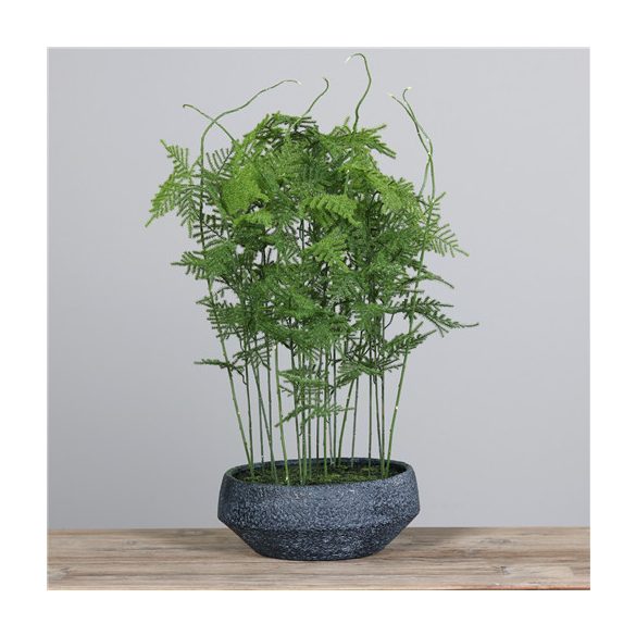 Páfrány polirezin tálban 70 cm