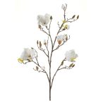 Magnolia spray 105cm - Krém