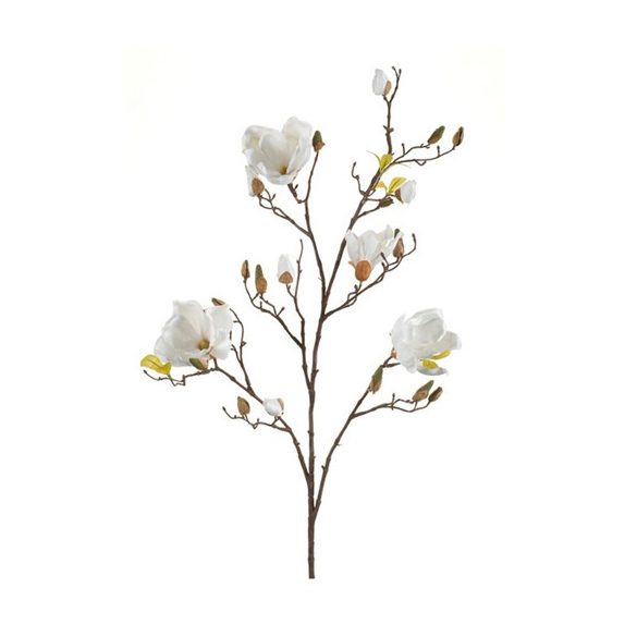 Magnolia spray 105cm - Krém