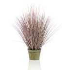 Pennisetum grass 99cm cserépben