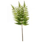 Fern tree spray bundle x3 58cm - Zöld
