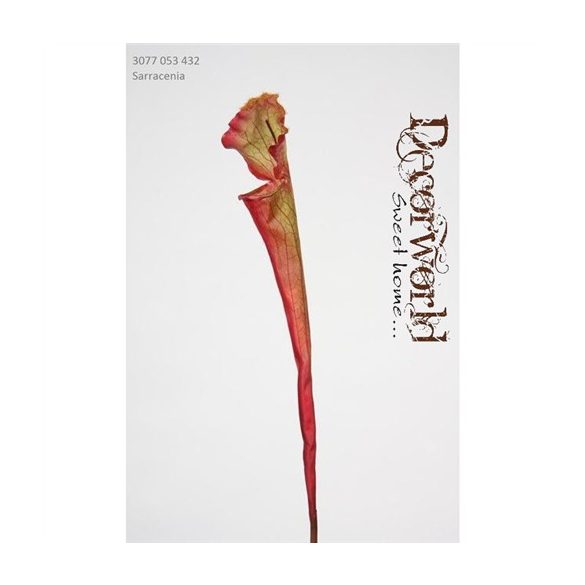 Selyemvirág Sarracenia műanyag 53cm zöld-piros