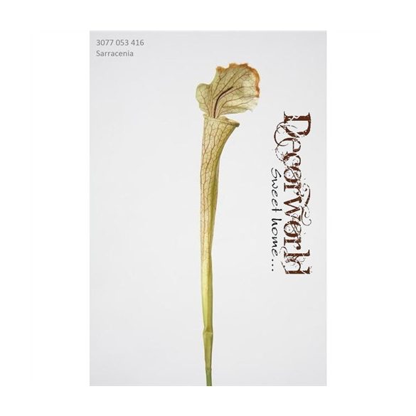 Selyemvirág Sarracenia műanyag 53cm - Zöld