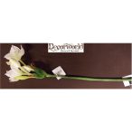 Eucharis műanyag 66cm fehér