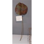 Galax ív műanyag 25cm erdőzöld